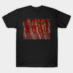 Red and Yellow Twirl T-Shirt